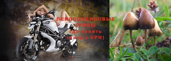 мескалин Абдулино