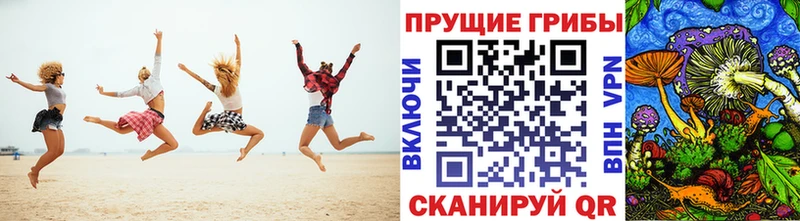 Псилоцибиновые грибы Cubensis  купить наркотики сайты  Братск 