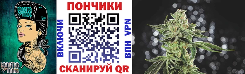 купить наркотики цена  Братск  Каннабис ГИДРОПОН 